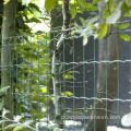 PVC powlekane spawane ogrodzenie euro/Holland Tree Fence